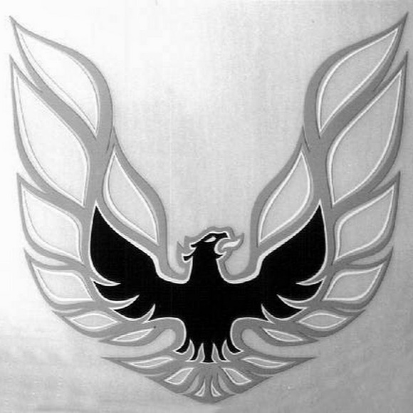 Meet your Posher, William - Picture 4 of 4